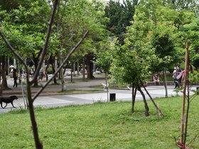 DSC_1413.JPG