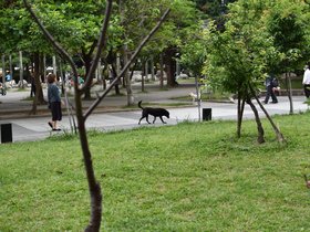 DSC_1414.JPG