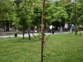 DSC_1419.JPG