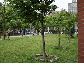 DSC_1420.JPG