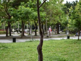 DSC_1421.JPG