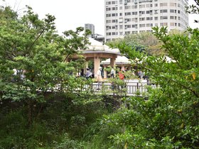 DSC_1442.JPG