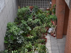 DSC_1449.JPG