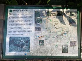 IMG_8652.jpg