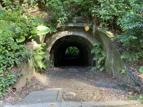 IMG_8659.jpg