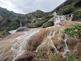 IMG_1925.jpg