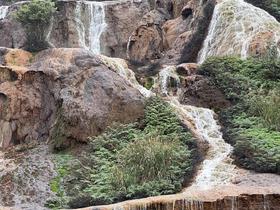 IMG_1929.jpg