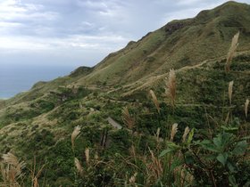 IMG_7610.JPG