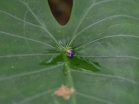 DSC_3645.JPG