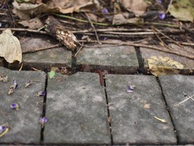 DSC_3648.JPG