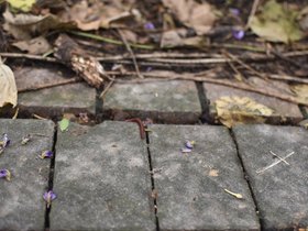 DSC_3649.JPG