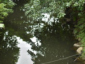DSC_3650.JPG