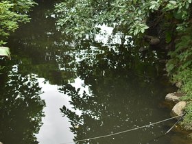 DSC_3651.JPG
