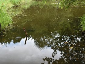 DSC_3652.JPG