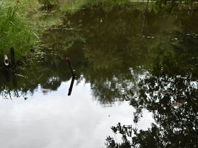 DSC_3654.JPG