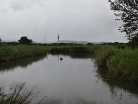 DSC_3656.JPG