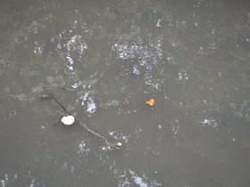 DSC_3658.JPG