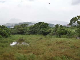 DSC_3659.JPG