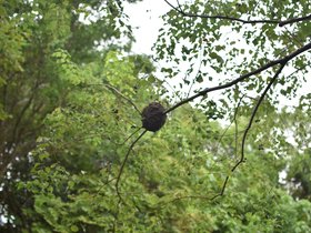DSC_3660.JPG