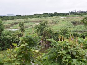 DSC_3663.JPG
