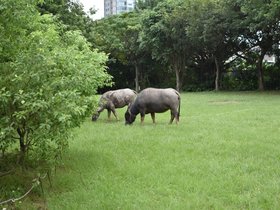 DSC_3669.JPG