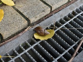 DSC_3671.JPG