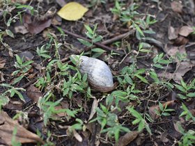 DSC_3685.JPG