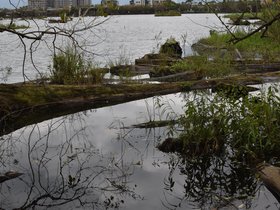 DSC_0122.JPG
