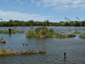 DSC_0661.JPG