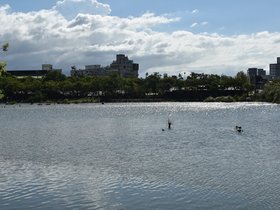 DSC_0692.JPG
