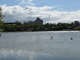 DSC_0693.JPG