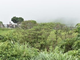 Qingtiangang