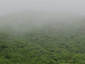 DSC_2400.JPG