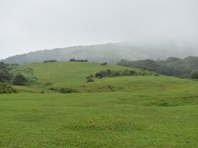 DSC_2404.JPG