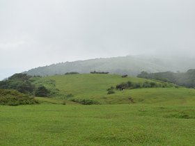 DSC_2405.JPG