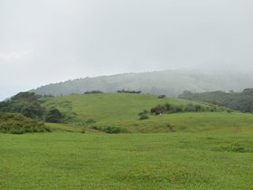 DSC_2406.JPG