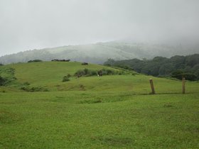 DSC_2419.JPG