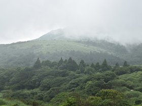 DSC_2482.JPG