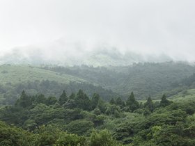 DSC_2484.JPG