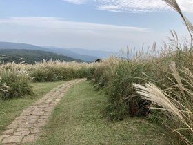 IMG_0257.JPG