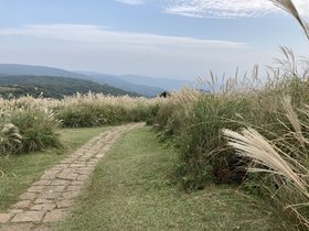 IMG_0258.JPG
