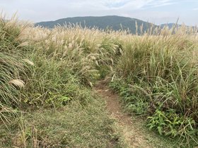 IMG_0261.JPG