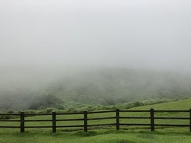 IMG_6989.JPG