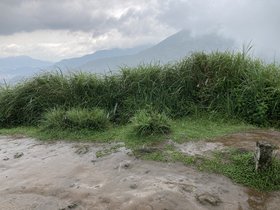 IMG_6999.JPG