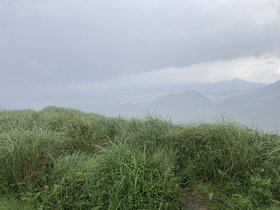 IMG_7007.JPG