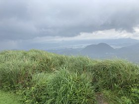 IMG_7009.JPG