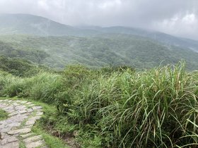 IMG_7010.JPG