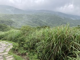 IMG_7011.JPG