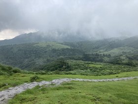 IMG_7013.JPG