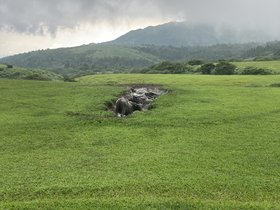 IMG_7014.JPG